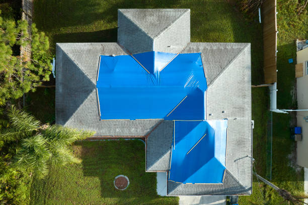 Best Cold Roofs  in Lmar, DE
