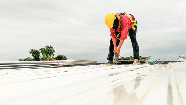 Best Skylight Installation and Repair  in Lmar, DE